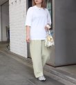 画像13: シアーストライプパンツ　 Sheer Stripe Pants